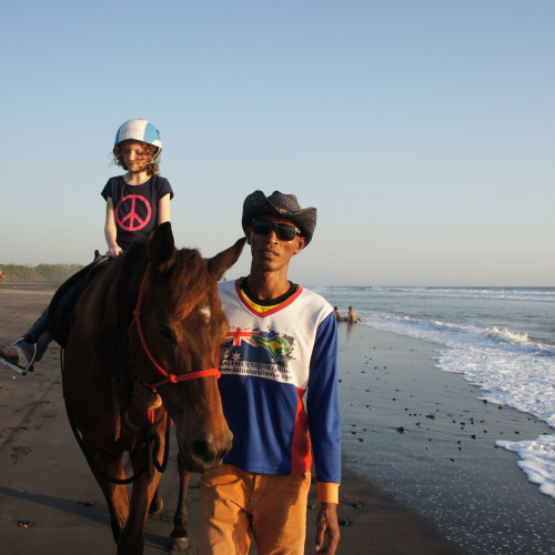 SONY DSC