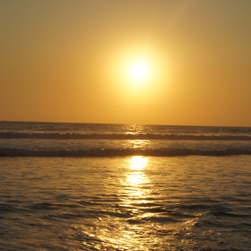 SONY DSC