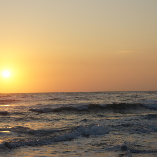 SONY DSC