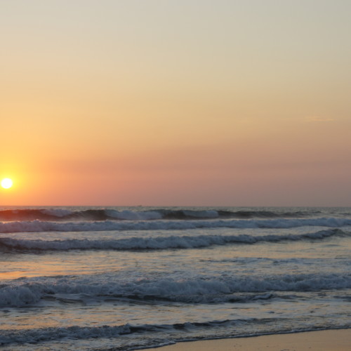 SONY DSC