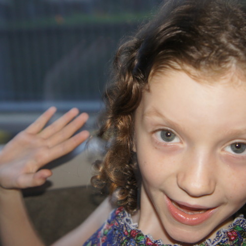SONY DSC